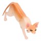 thumbnail image 5 of Estatua De Gato, Pequeño Modelo De Gato Sin Pelo Vívido Para Decoración Del Hogar Para Niños De Juguete Ccdes Otros, 5 of 8