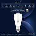 thumbnail image 7 of Luxrite Vintage ST19 LED Light Bulb 4.5W=60W 5CCT Dimmable 500 Lumens LED Edison Bulb UL Listed E26 Base 12-Pack, 7 of 7