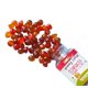 thumbnail image 2 of Complementa la equinácea diaria para niños de Gummy Cuties con vitamina C, 2 of 6