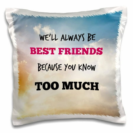 3dRose Best friends quotes. Saying. - Pillow Case, 16 by