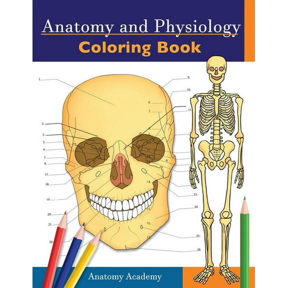 Anatomy and Physiology Coloring Book: Incredibly Detailed Self-Test Color workbook for Studying Perfect Gift for Medical, (Paperback)