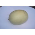 thumbnail image 5 of 150 HONEYDEW GREEN FLESH Cucumis Melo Inodorus Melon Fruit Seeds, 5 of 5