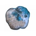 thumbnail image 3 of Lewis, Sheldon 14x12 Black Modern Framed Museum Art Print Titled - Saturn Rings Of Blue, 3 of 5
