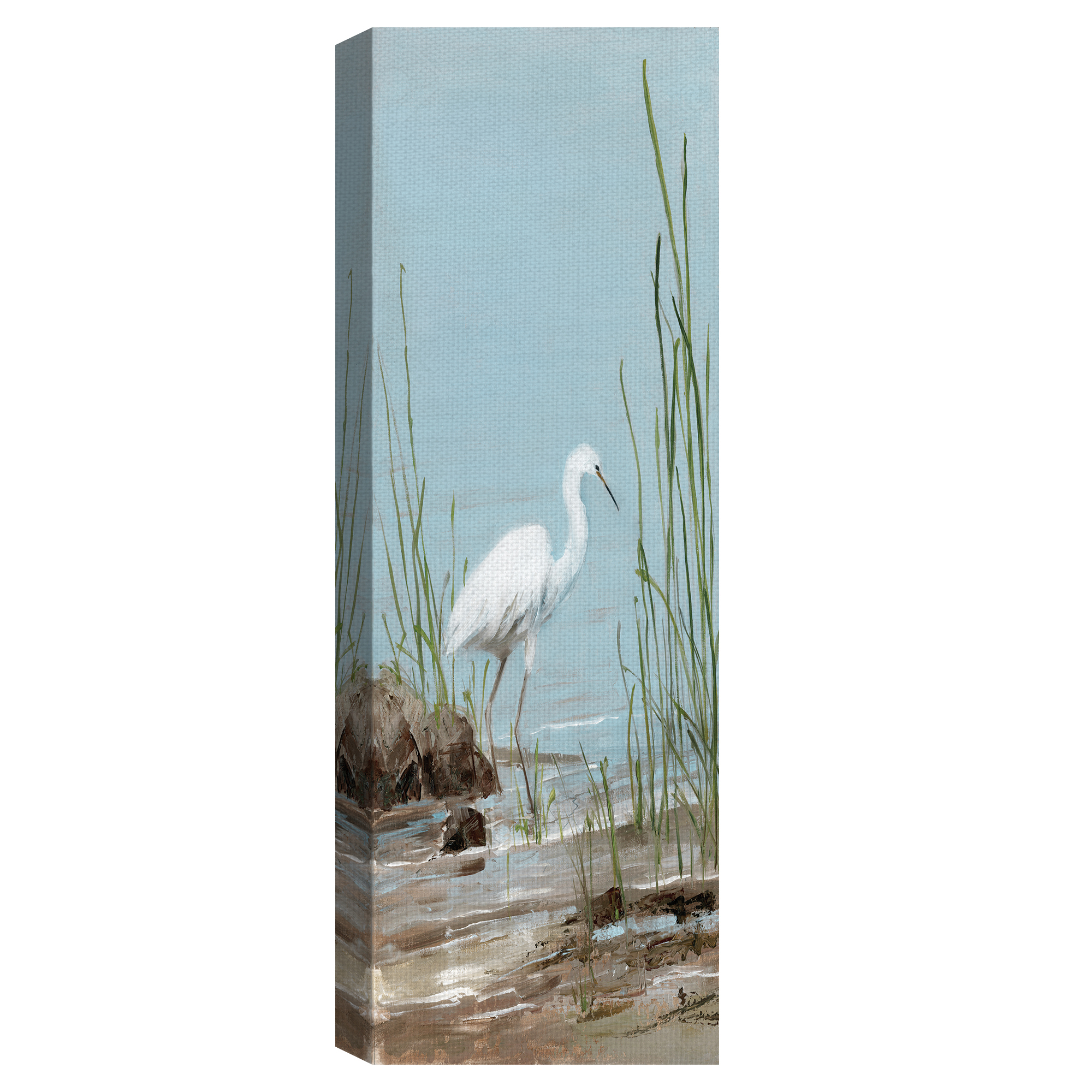 Masterpiece Art Gallery White Shorebird I by Sally Swatland Canvas Art Print 12" x 36"