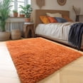 thumbnail image 4 of Burnt Orange Area Rugs for Living Room Bedroom, Fluffy Shaggy Fuzzy Thick Shag Rug 5x7 for Kids Room Decor, Modern Cute Plush Furry Dark Orange Carpet for Nursery Dorm Classroom Playroom, 4 of 7