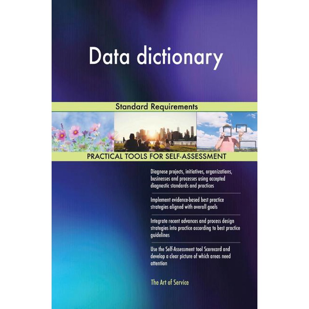 Data dictionary Standard Requirements (Paperback)