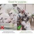 thumbnail image 4 of Cuencos para cachorros de acero inoxidable, cuencos para gatos para agua y comida, cuenco alimentador para cachorros, 4 of 5
