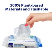 Nice N Clean Plant-Based Flushable Wet Wipes, 3 Flip-Top Packs (180 Total Wipes)