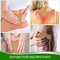 thumbnail image 5 of SaluVera, 10 unidades/caja, parches para aliviar el dolor en la vértebra Lumbar, extracto SaluVera Parche de la vértebra lumbar, 5 of 5