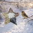 thumbnail image 6 of Garloy Handmade Fiber Bird Nesting Star,Refillable Birds Haven 1 Heart Shape Hummingbird Nesting,Bird Nesting Material Holder,Winter Fowl Gifts Animal Hummingbirds Lovers Home Garden Yard,1 Set,7.8", 6 of 9