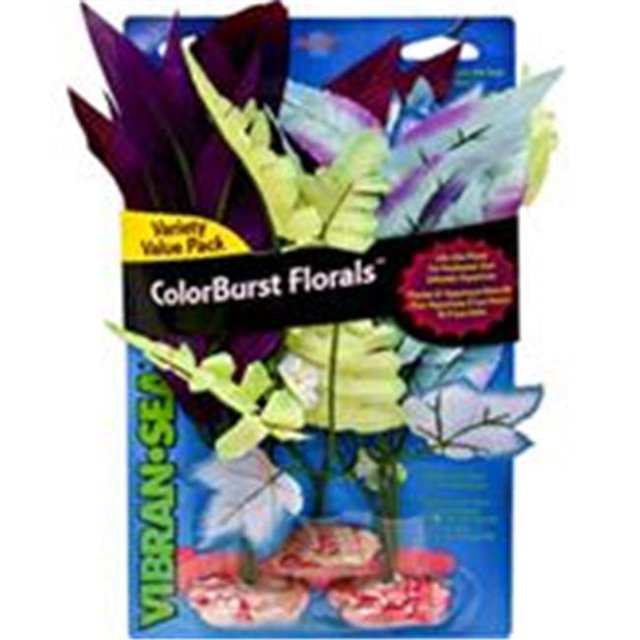 BLUE RIBBON PET PRODUCTS-CB-MVP5 Colorburst Florals African Fountain Fern Cluster