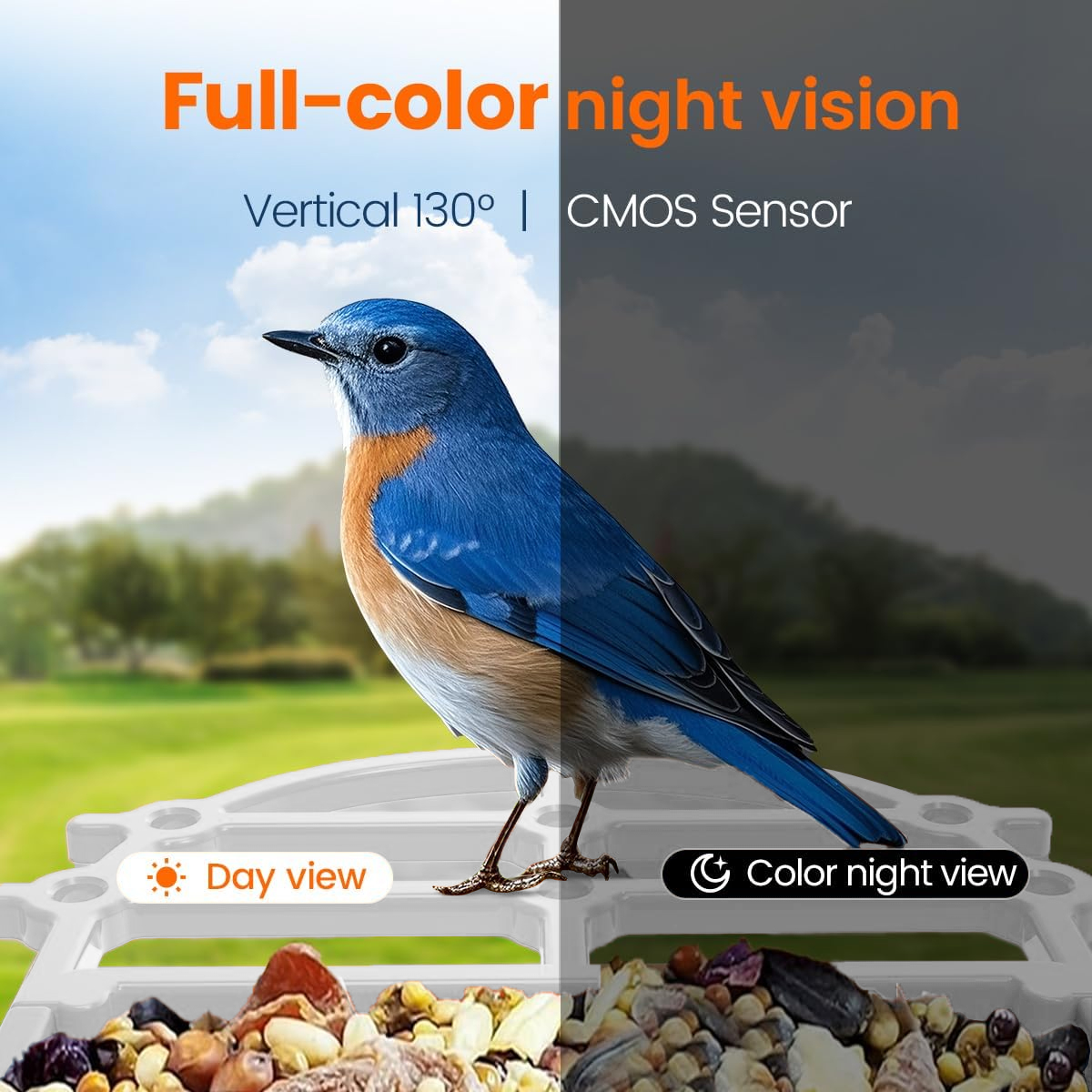 BOYOU Smart Bird Feeder with Camera, Solar Powered, 1080P HD, IP65 Waterproof, Outdoor