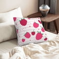 thumbnail image 6 of DouZhe Velvet Decorative Throw Pillow Covers Set of 2, Soft Square Cushion Cover with Invisible Zipper Pink Raspberries Fruits Printing, 18"x18", 6 of 7