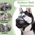 thumbnail image 4 of Bozal Mayerzon de malla suave antimordeduras para perros pequeños y grandes, 4 of 7
