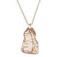thumbnail image 1 of CTDWNT Collier Souvenir en Fourrure de Chat, Pendentif Capsule Commémoratif de Poils d'Animaux avec Rangement Visible, Cadeau de Collection Unique pour Amateur de Chats, PVC et Alliage, Chaîne de 17,55 Pouces, 1 of 8