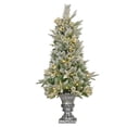 thumbnail image 4 of National Tree Company 4 ft. Frosted Colonial Fir Entrance Tree with Warm White LED Lights, 4 of 6