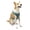 Blue, variant on Kurgo Journey Air Dog Harness, Vest Harnesses for Dogs, Pet Hiking Harness for Running & Walking, Reflective, Padded, Includes Control Handle, No Pull Front Clip (Coral, Large)