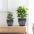 thumbnail image 6 of 6+8+10 inch Gray Ceramic Modern Flower Pot - Indoor Outdoor Use for Mixed Succulents, Herbs, Flowers, Home Garden Room Decor,Set of 3,Ordivic, 6 of 8