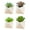 type:style3;, variant on 4pcs simulation succulent potted plants creative decoration small triangle bonsai indoor artificial decoration green plants - type:style4;