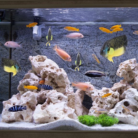 MERRYHAPY 1Pc Plastic Aquarium Fish Tank Decoration Tropical Simulation Fish Ornament for Home and Office