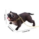 thumbnail image 3 of Escultura de resina para perro de coche | Figura realista de perro social tallada a mano con ventosa fuerte | Decoración duradera para el interior del coche, ideal para salpicadero o vitrina., 3 of 5