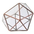 thumbnail image 2 of GUOOL Glass Geometric Terrarium Box Plant Planter 12 x 12 x 12cm 12 x 12 x, 2 of 9
