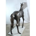 thumbnail image 3 of Nifao Life Size Aluminum Arabian Colt Horse Statue for Decoration – Garden Outdoor Decor Sculpture, 50"L x 15"W x 52"H, 3 of 12