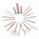 thumbnail image 1 of Kit de manicura juego de manicura 18 piezas de acero inoxidable portátil de oro rosa para tratamiento facial ANGGREK Otros, 1 of 7