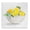 Lemon Bowl Painting, variant on Stupell Industries Farmhouse Lemon Harvest Fruits Black Framed Giclee Art, 12 x 12, by Andrea Haase