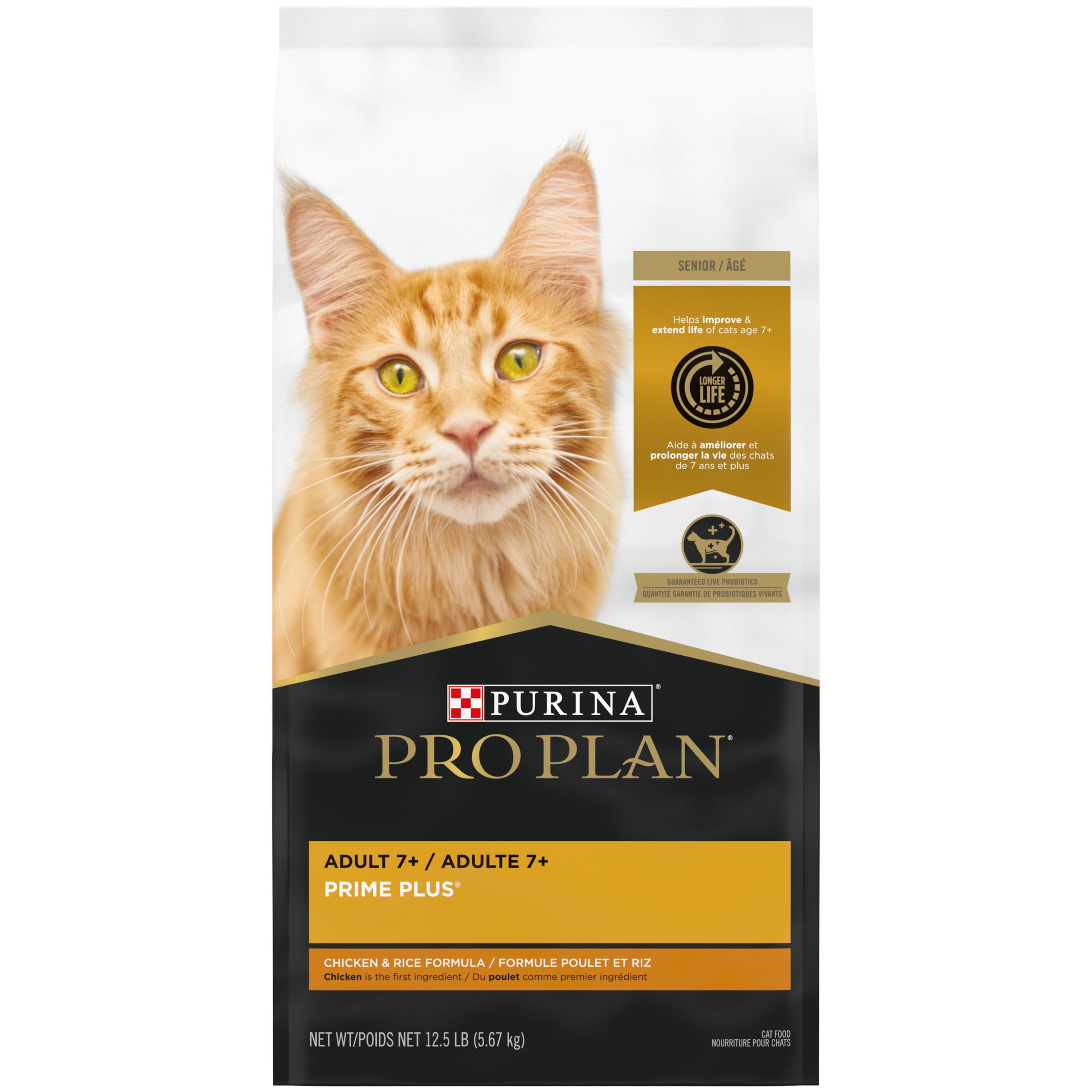 free chihuahua puppies to good home