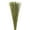 Basil, variant on Vickerman 30" Natural Marsh Reed bundle tied with rafia, 10 oz, Dried