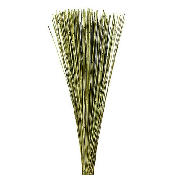 Vickerman 30" Basil Marsh Reed bundle tied with rafia, 10 oz, Dried
