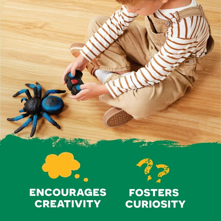 Remote Control Mouse For Cats Electric Spider Toy - Vibration Crawling Prank & Pet Teaser, Realistic Tarantula For Cats, Dogs, Halloween Gifts Realistic Tarantula Toy For Pets Remote Control Mouse For Cats Electric Spider Toy - Vibration Crawling Prank & Pet Teaser, Realistic Tarantula For Cats, Dogs, Halloween Gifts Realistic Tarantula Toy For Pets