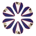 thumbnail image 6 of America Samoa Flag Guitar Picks for Guitar Bass Music Instruments Women Men Guitar Picks, 6 of 7