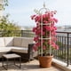 thumbnail image 4 of Enrejado de plástico para plantas trepadoras, ideal para enredaderas y flores – Soporte para exteriores, patios y balcones con base resistente a la corrosión y montaje ajustable para el crecimiento d, 4 of 6