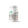 thumbnail image 1 of Astragalus 9000 by Provita Nutrition (Canadian Made) 60 Vegetarian Capsules, 1 of 2