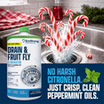 thumbnail image 3 of EcoStrong Fruit Fly Drain Treatment, Eliminates Drain Flies, Gnats, Sewer Flies, 32 oz, 3 of 10