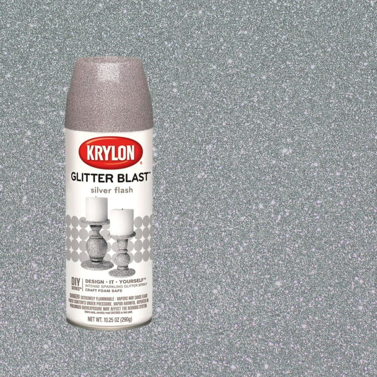 NS Krylon Glitter Blast Silver Flash Spray Paint, 10.25oz Indoor Outdoor  Home Commercial Arts Recycling & Painting DIY Craft Project