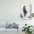 thumbnail image 3 of Trademark Fine Art 'Rustic Stallion II' Canvas Art by Ethan Harper, 3 of 4