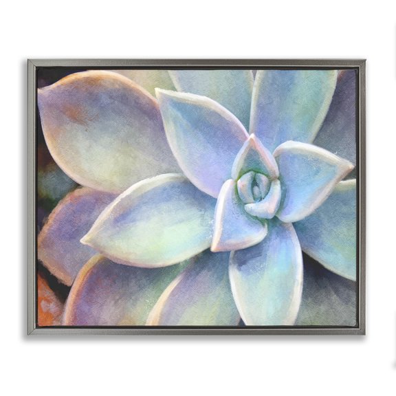 Stupell Industries Farmhouse Succulent Plant Vibrant Bloom Gray Floating Frame Canvas Art, 31 x 25, by Joshua Chace