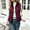 thumbnail image 6 of Byworldtasic Women's Lightweight Quilted Puffer Vest Stand Collar Zip Up Outerwear Sleeveless Jacket with Pockets, 6 of 8
