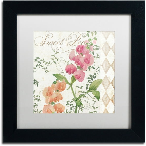 Trademark Fine Art "Sweet Pea" Canvas Art by Color Bakery White Matte, Black Frame
