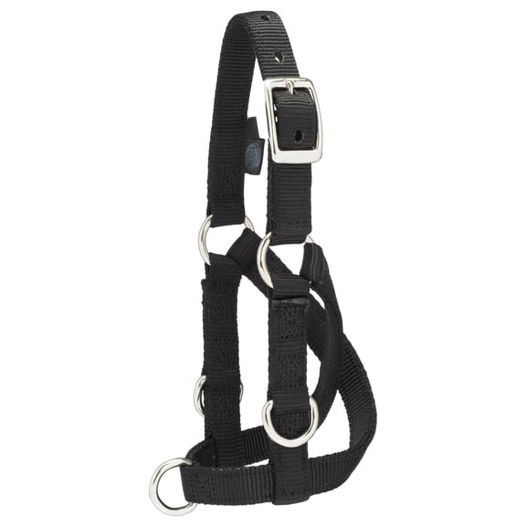 Weaver Leather Livestock Sheep & Goat Treadmill Halter