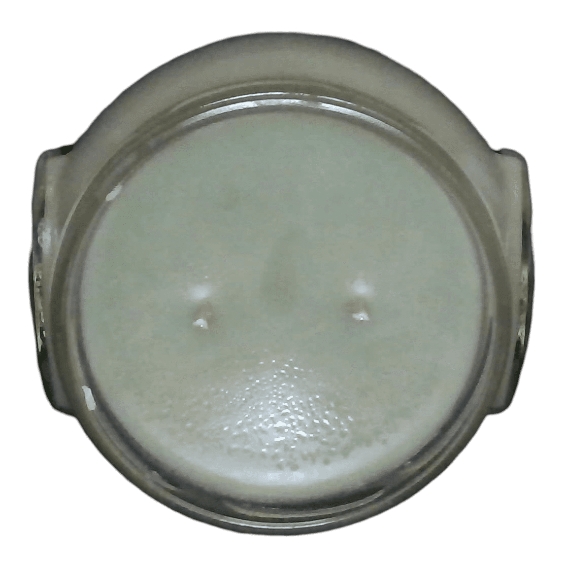 Tyler Candle Company - Hippie Chick - 11oz jar candle - with Tyler matches