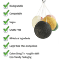 thumbnail image 4 of Konjac Sponge Cleanser, - para pieles grasas y con tendencia acnéica Sensitive Gentle Facial, esponja facial para limpieza y exfoliación, 4 of 6
