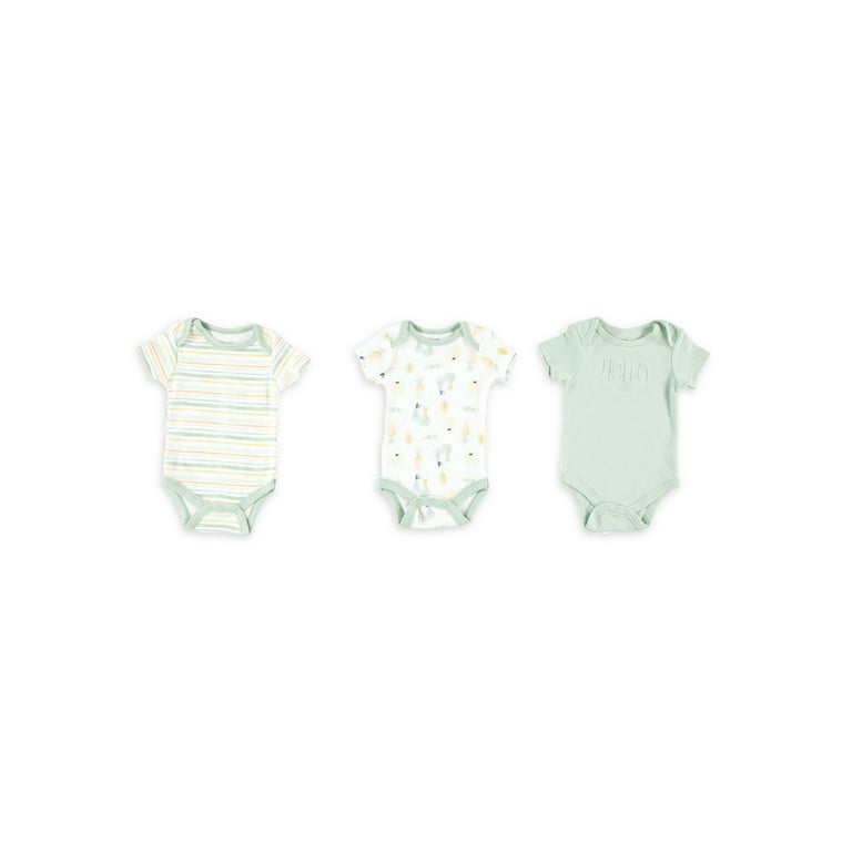 Chick Pea Gender Neutral Baby Clothes Layette Set Footless Sleep and Play 3  Pack Dinosaur Pre-historic Gray 3-6M