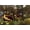 Unframed, variant on Art.com The Dream Art Print by Henri Rousseau, 18" x 12"