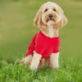 thumbnail image 1 of Mono navideño para perro, ropa bonita para perros Grinch, divertidos perros pequeños, medianos y grandes, 1 of 8