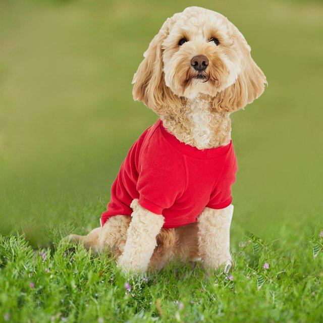Mono navideño para perro, ropa bonita para perros Grinch, divertidos perros pequeños, medianos y grandes