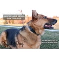 thumbnail image 6 of Regal Dog Products Custom Fit Collar with High Strength Buckle & Heavy Duty D Ring, 6 of 7